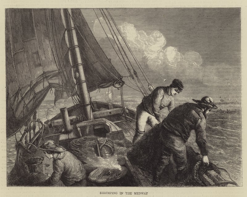 Camaroneando en el Medway de Walter William May