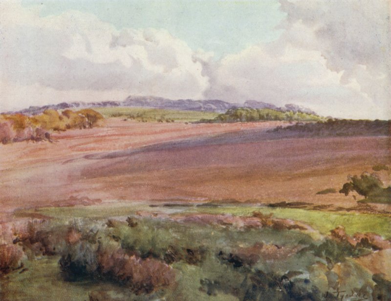 El Nuevo Bosque: A través de Malwood Walk desde la carretera a Fritham de Walter Frederick Roofe Tyndale