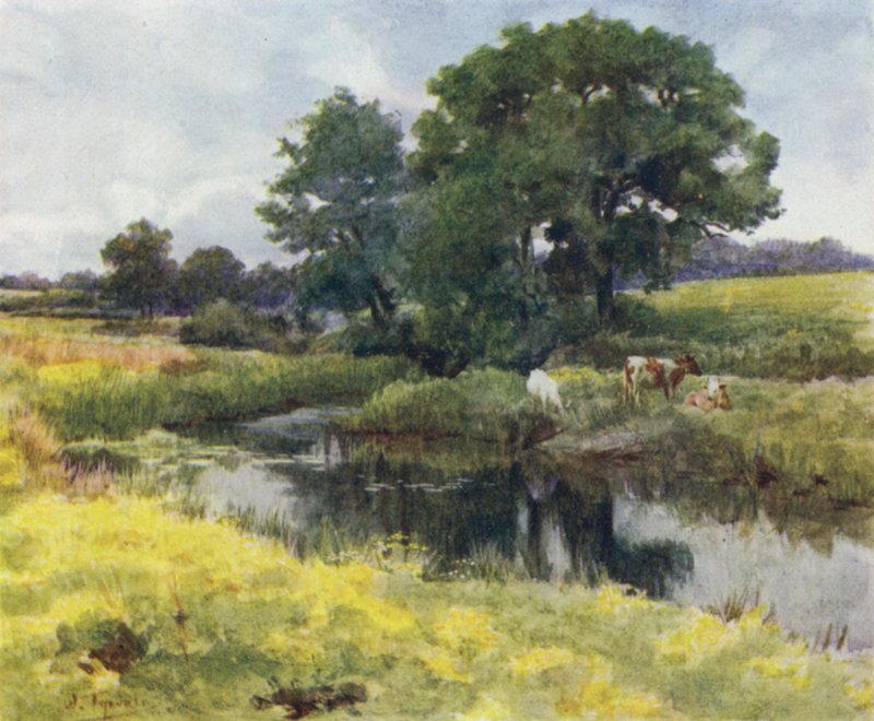 El Nuevo Bosque: En el río Lymington (litografía a color) de Walter Frederick Roofe Tyndale