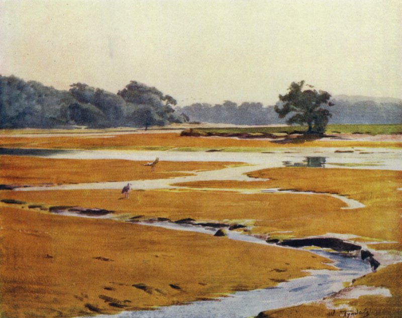 El Nuevo Bosque: El río Beaulieu de Walter Frederick Roofe Tyndale