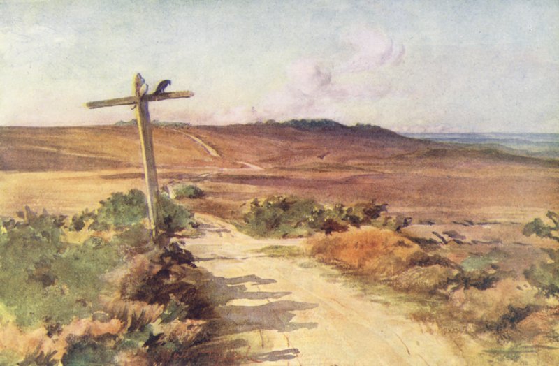 Wessex: Bere Heath en otoño, con Gallows Hill a lo lejos (litografía en color) de Walter Frederick Roofe Tyndale