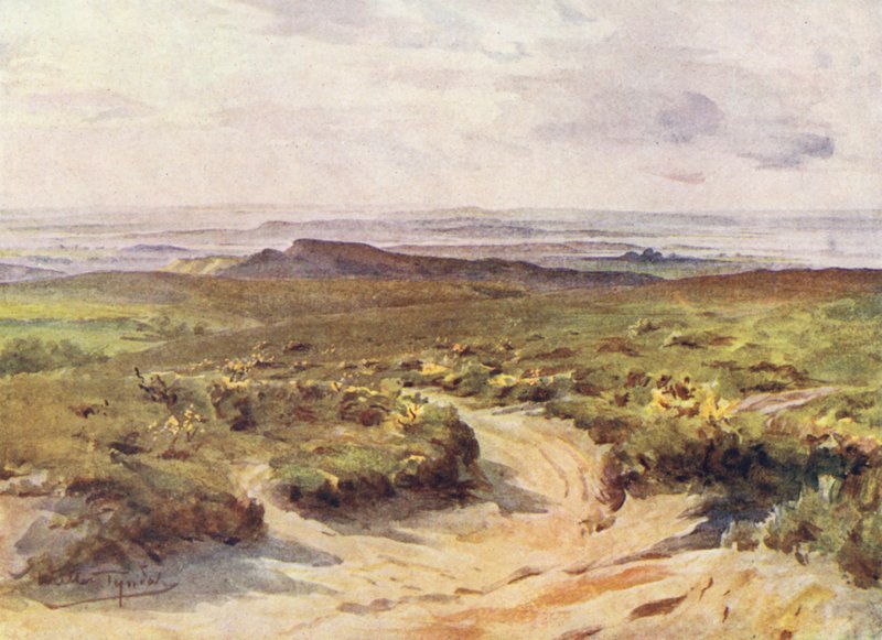 Wessex: Studland Heath, Poole Harbour en la distancia (litografía en color) de Walter Frederick Roofe Tyndale