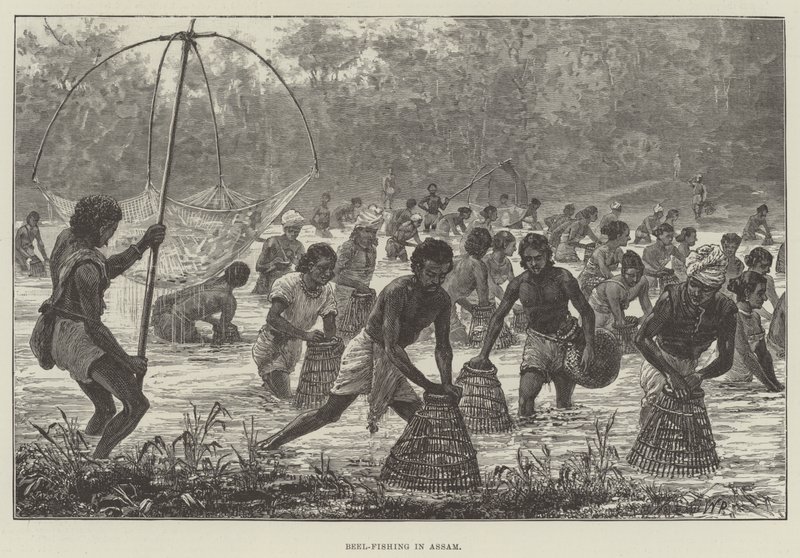 Pesca de Beel en Assam de Walter Paget