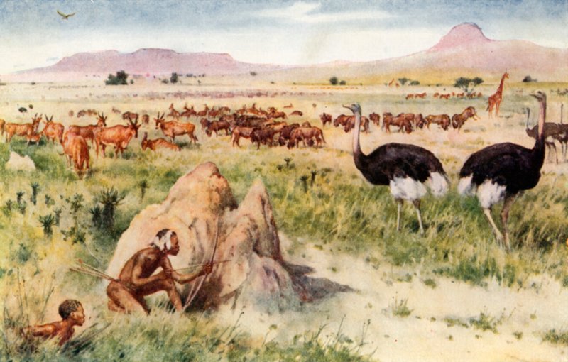 Una llanura sudafricana: antes de la llegada del hombre blanco de Walter Stanley Paget