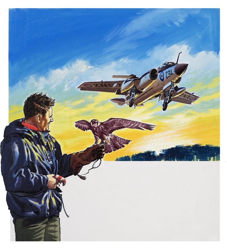 Vuelo de halcón (gouache sobre papel) de Wilf (20th century) Hardy