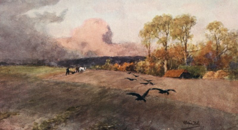Arado (litografía en color) de Wilfrid Williams Ball