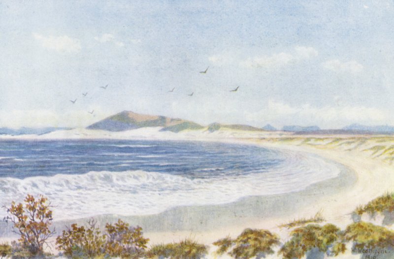 Blaauwberg y Head of Table Bay (litografía en color) de Wilhelm Westhofen