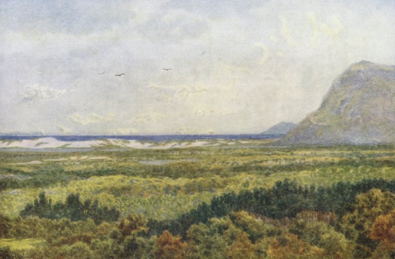 Constantia Valley y False Bay, con Cape Point (litografía en color) de Wilhelm Westhofen