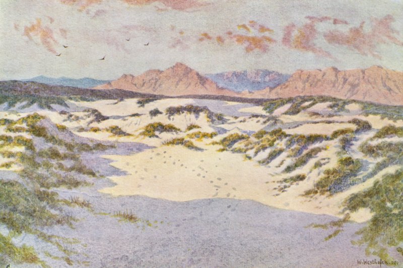 En las colinas de arena cerca de Muizenberg (litografía en color) de Wilhelm Westhofen