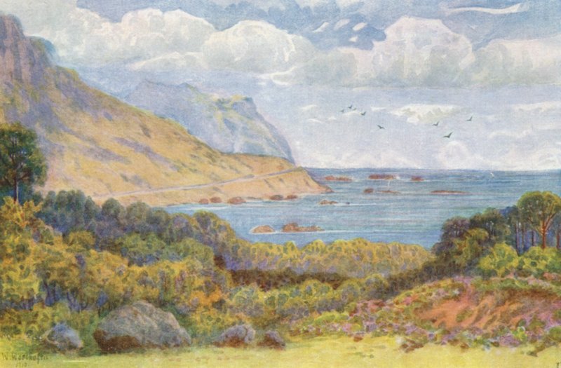 En la carretera Victoria, cerca de Oude Kraal (litografía en color) de Wilhelm Westhofen