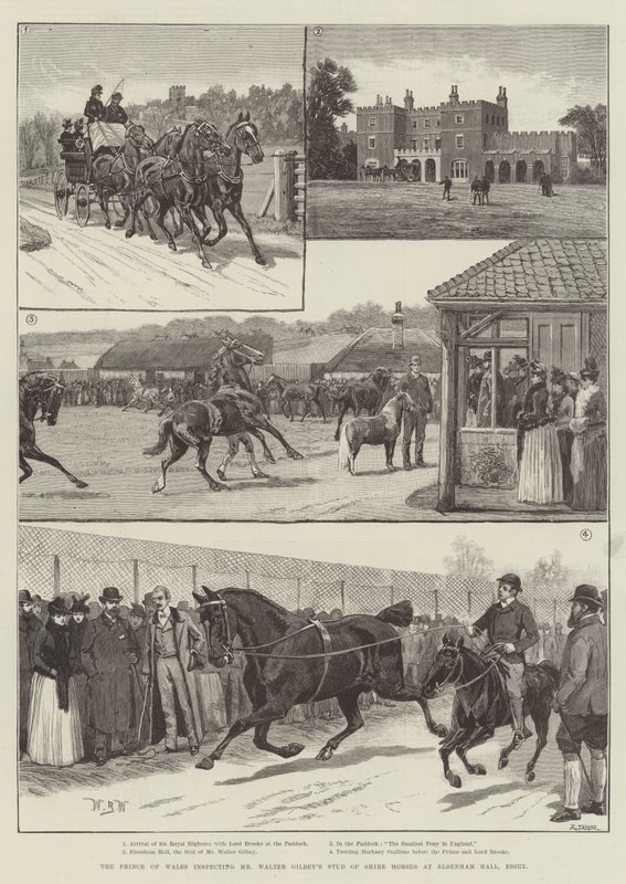 El Príncipe de Gales inspeccionando el establo de caballos de tiro de Mr. Walter Gilbey en Elsenham Hall, Essex de William Barnes Wollen