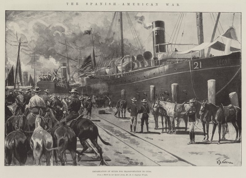 La Guerra Hispanoamericana, Embarque de Mulas para el Transporte a Cuba de William Barnes Wollen