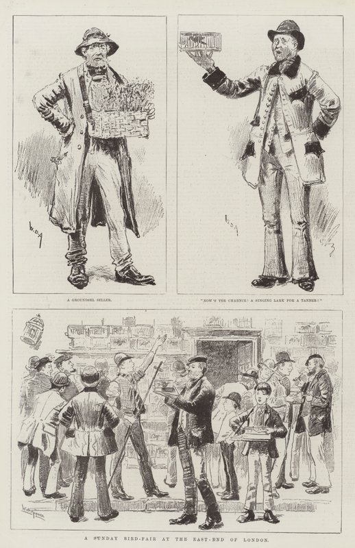 Feria de aves dominical en el East-End de Londres de William Douglas Almond