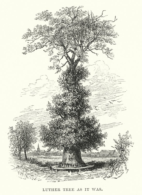 Árbol de Lutero como era de William Henry James after Boot