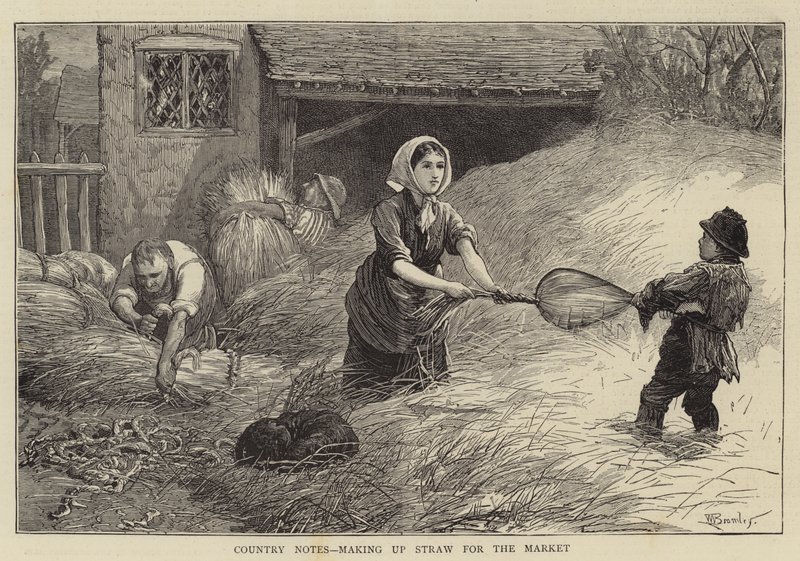 Notas del campo, haciendo paja para el mercado de William III Bromley