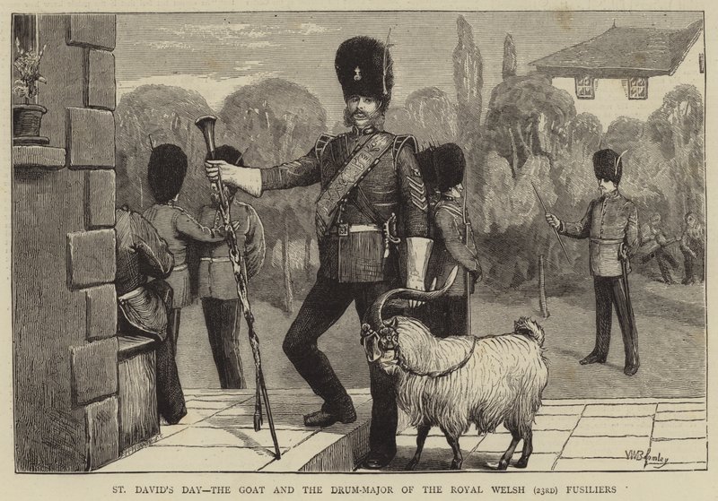 Día de San David, la cabra y el tambor mayor de los Fusileros Reales Galeses (23º) de William III Bromley