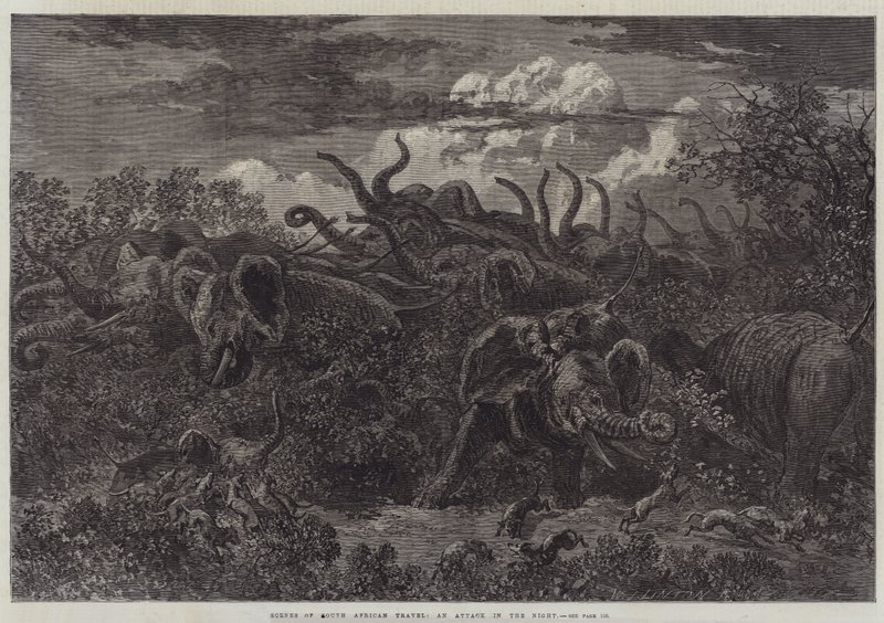 Escenas de viaje en Sudáfrica, un ataque en la noche de William James Linton