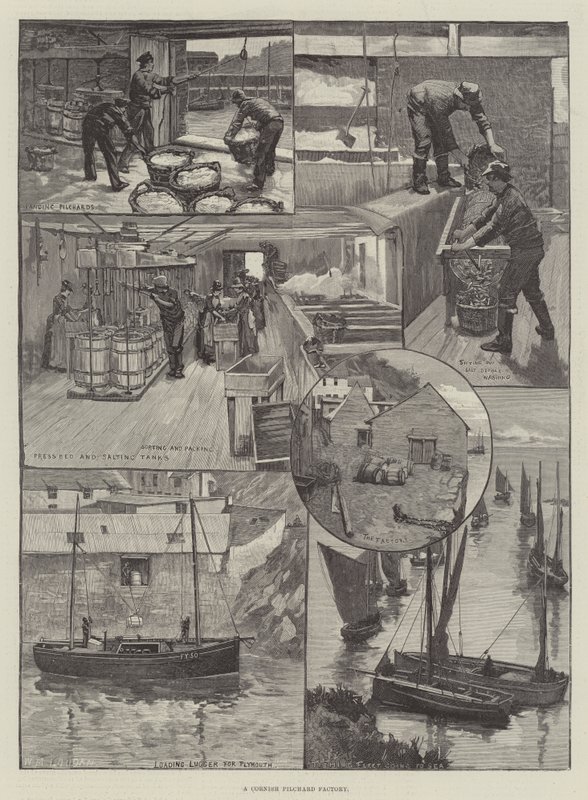 Una fábrica de sardinas en Cornualles de William Mouat Loudan