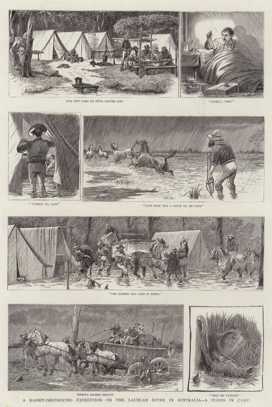 Una expedición para destruir conejos en el río Lachlan en Australia, una inundación en el campamento de William Ralston