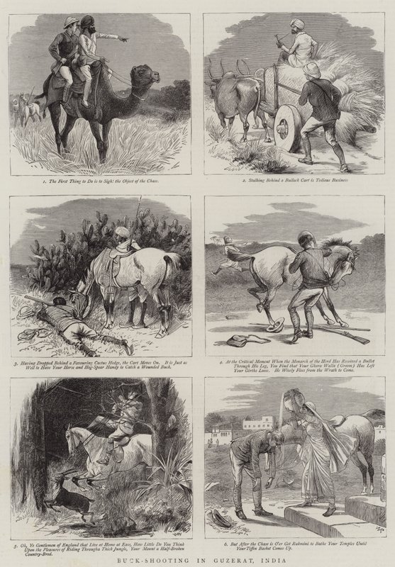 Caza de Venados en Guzerat, India de William Ralston