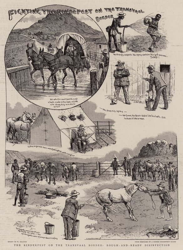 Luchando contra la peste bovina en la frontera del Transvaal de William Ralston