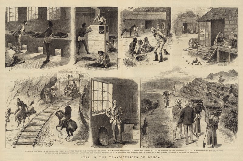 Vida en los distritos del té de Bengala de William Ralston