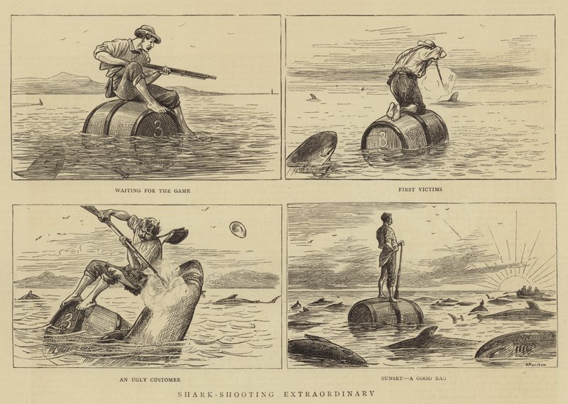 Tiro al Tiburón Extraordinario de William Ralston