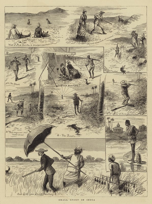 Pequeño deporte en India de William Ralston