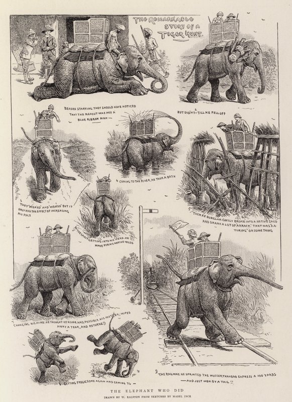 El elefante que lo hizo de William Ralston