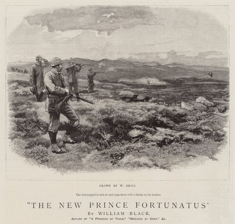 El Nuevo Príncipe Fortunatus de William Small