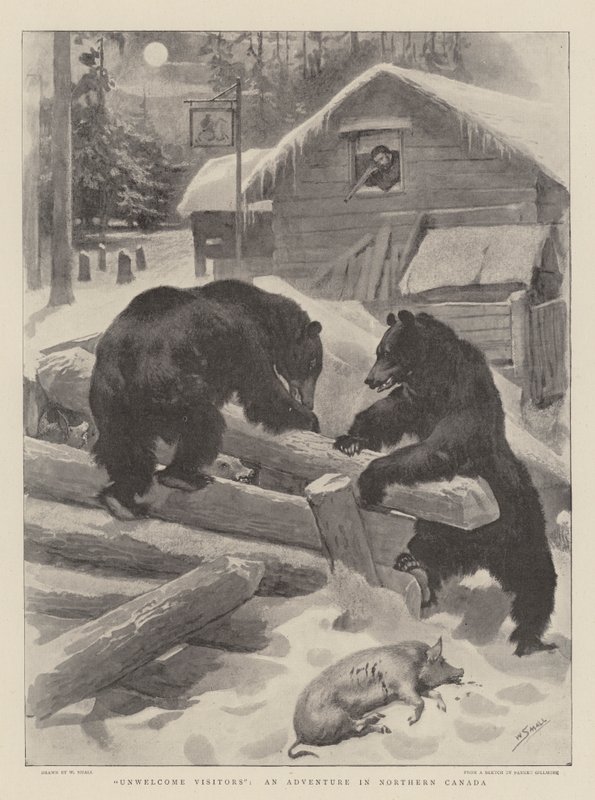 Visitantes no deseados, una aventura en el norte de Canadá de William Small