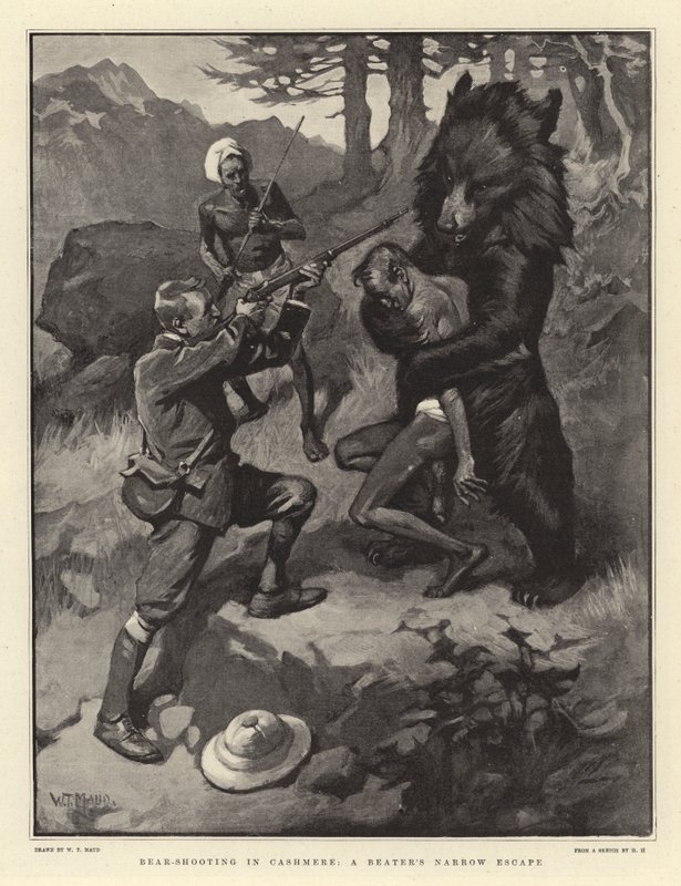 Caza de osos en Cachemira, el escape estrecho de un batidor de William T. Maud