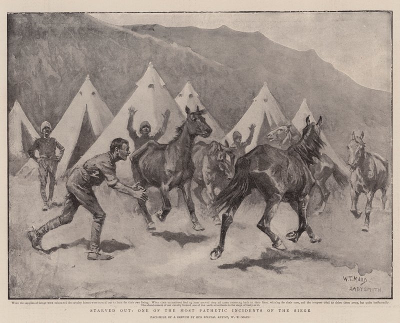 Muertos de Hambre, Uno de los Incidentes Más Patéticos del Asedio de William T. Maud