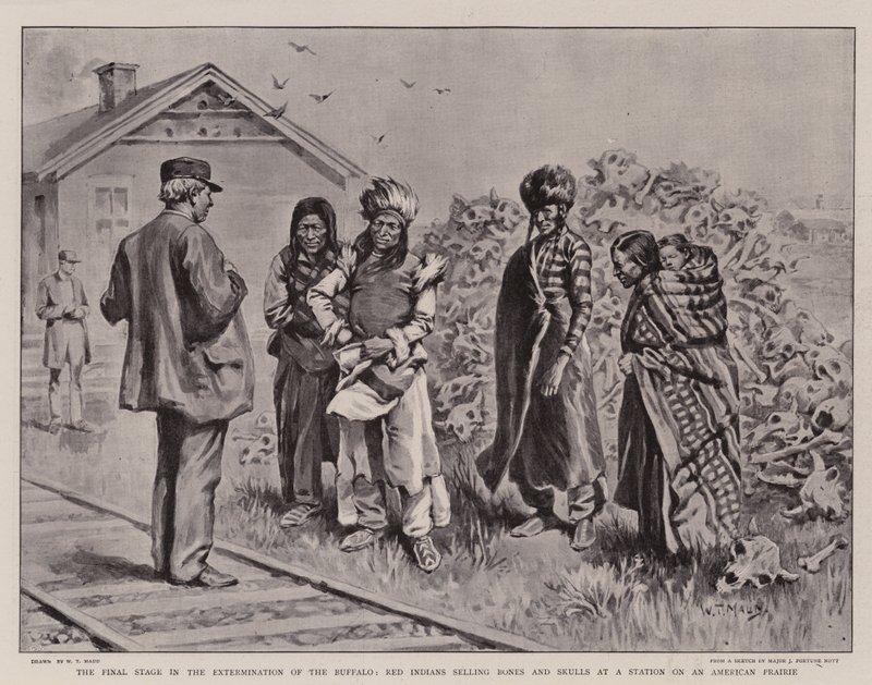 La etapa final en la exterminación del búfalo, indios rojos vendiendo huesos y cráneos en una estación en una pradera americana de William T. Maud