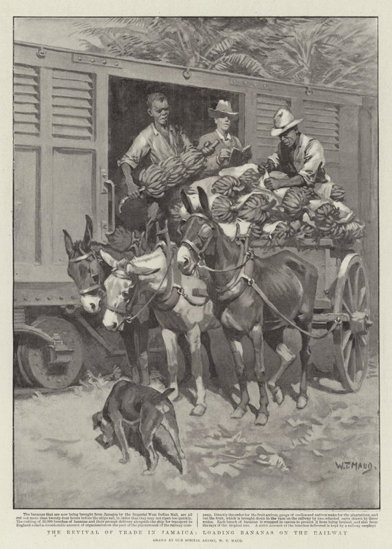 El resurgimiento del comercio en Jamaica, cargando plátanos en el ferrocarril de William T. Maud