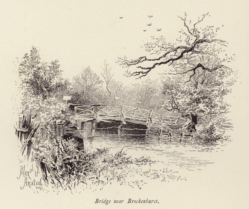 Puente cerca de Brockenhurst (grabado) de William Alexander Ansted