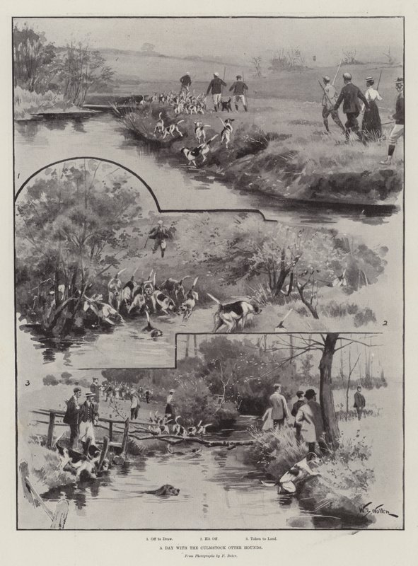 Un Día con los Sabuesos de Nutria de Culmstock de William Barnes Wollen