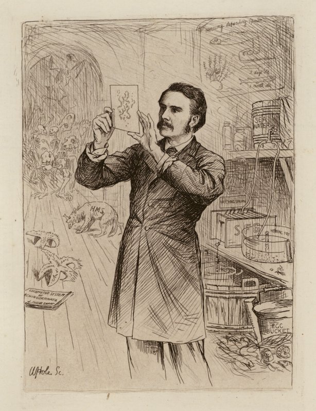 James Cossar Ewart, Profesor de Historia Natural (grabado) de William Brassey (after) Hole