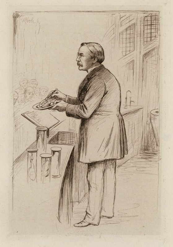 William Smith Greenfield, Profesor de Patología General (grabado) de William Brassey (after) Hole