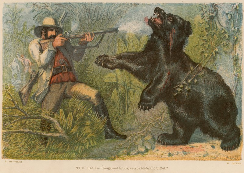 El oso de William Dickes