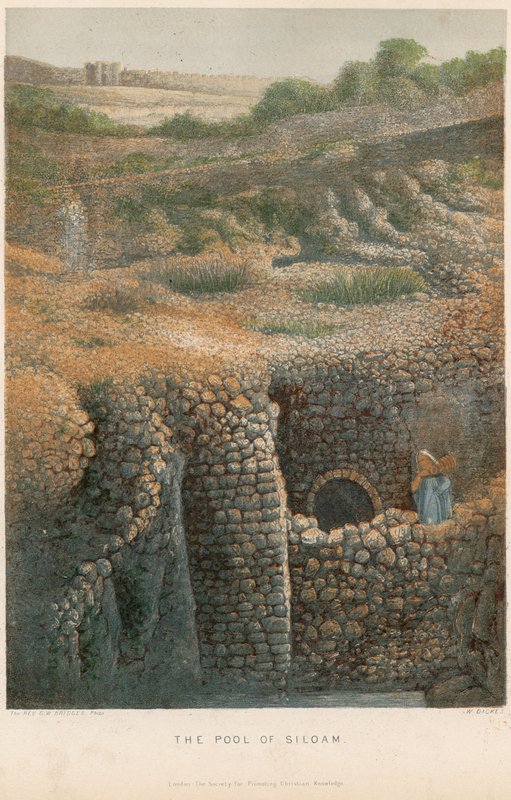 El estanque de Siloé de William Dickes
