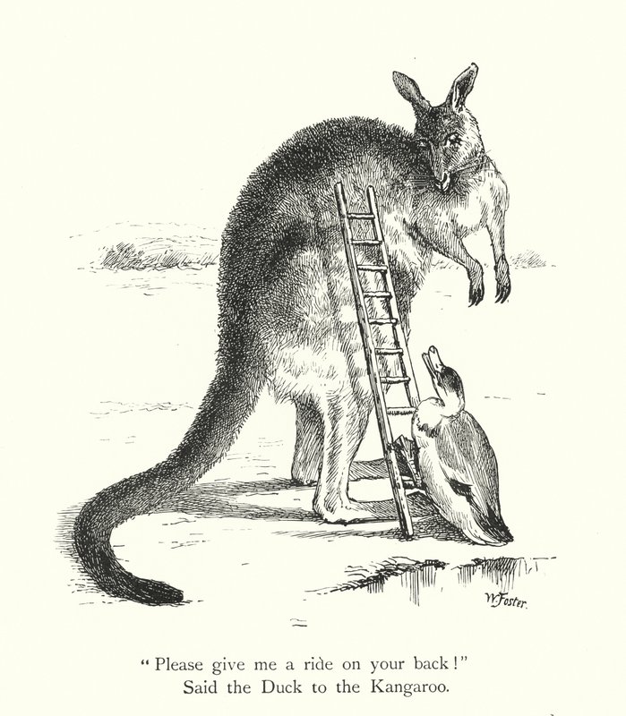El pato y el canguro (grabado) de William Foster