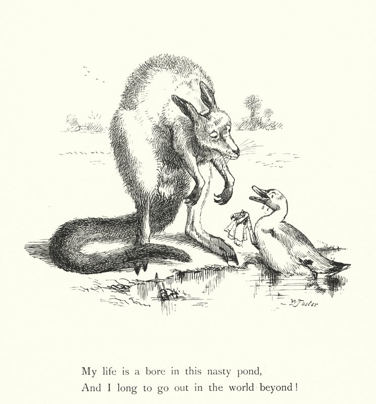El pato y el canguro de William Foster