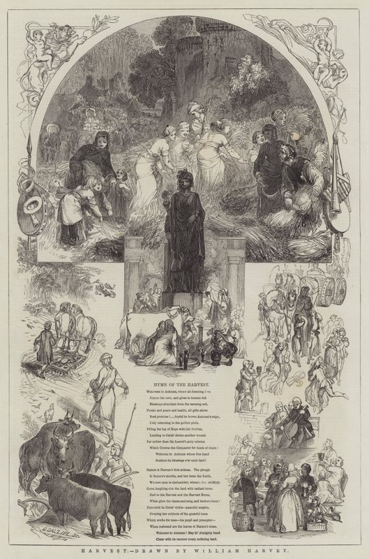 Cosecha de William Harvey