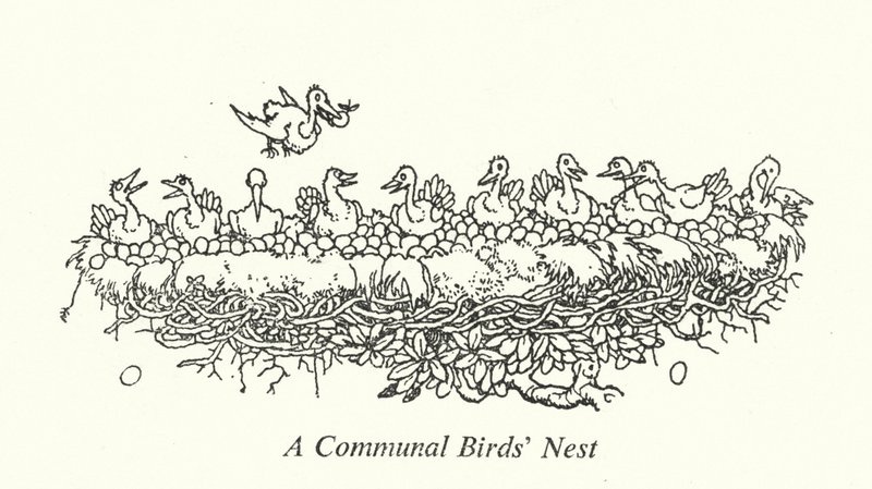 Un nido comunal de aves de William Heath Robinson