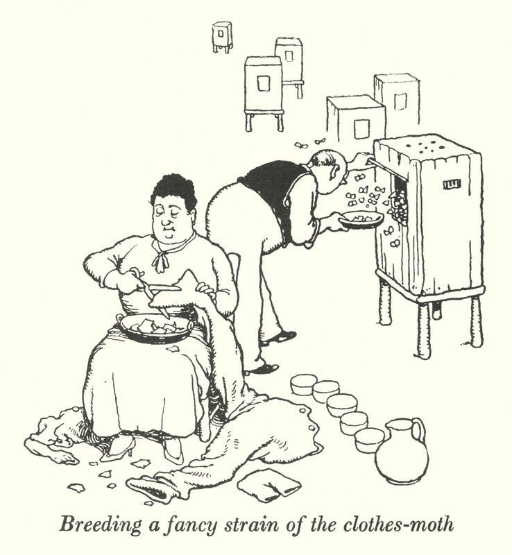Criando una variedad especial de la polilla de la ropa (litografía) de William Heath Robinson