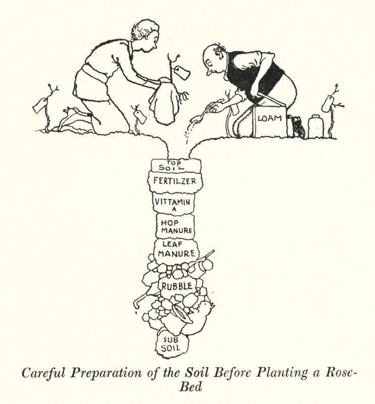 Preparación cuidadosa del suelo antes de plantar un rosal de William Heath Robinson