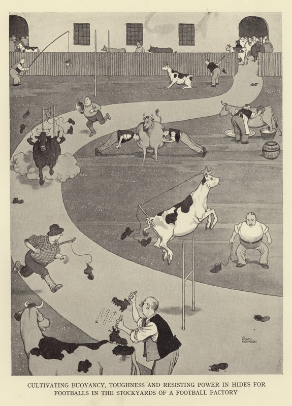 Cultivando flotabilidad, dureza y resistencia en pieles para balones de fútbol en los corrales de una fábrica de balones de William Heath Robinson