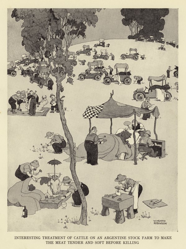 Tratamiento interesante del ganado en una granja argentina para hacer la carne tierna y suave antes de matar de William Heath Robinson