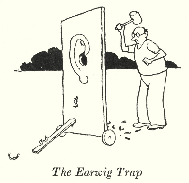 La Trampa para Tijeretas de William Heath Robinson